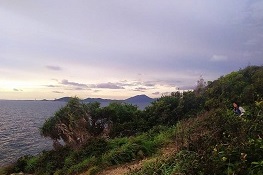 samet to pattaya taxi